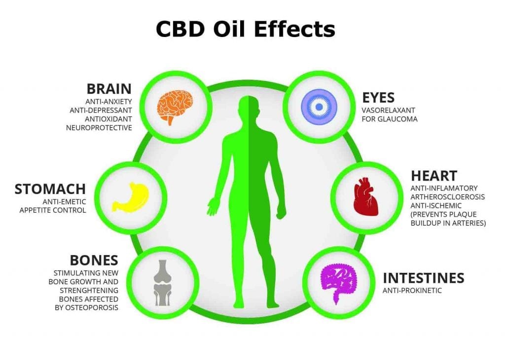 CBD oil effects compared to THC effects.