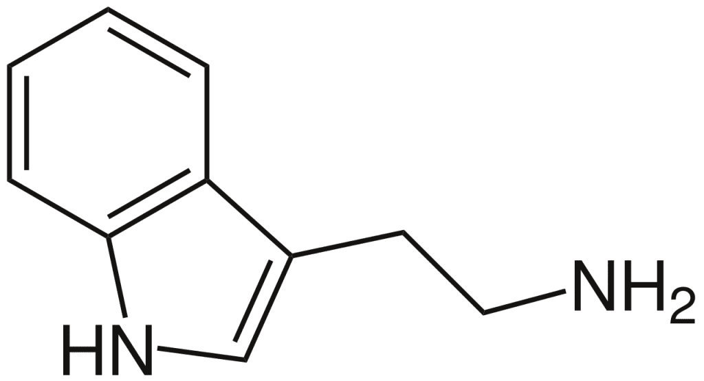 Tryptamine chemical compound 