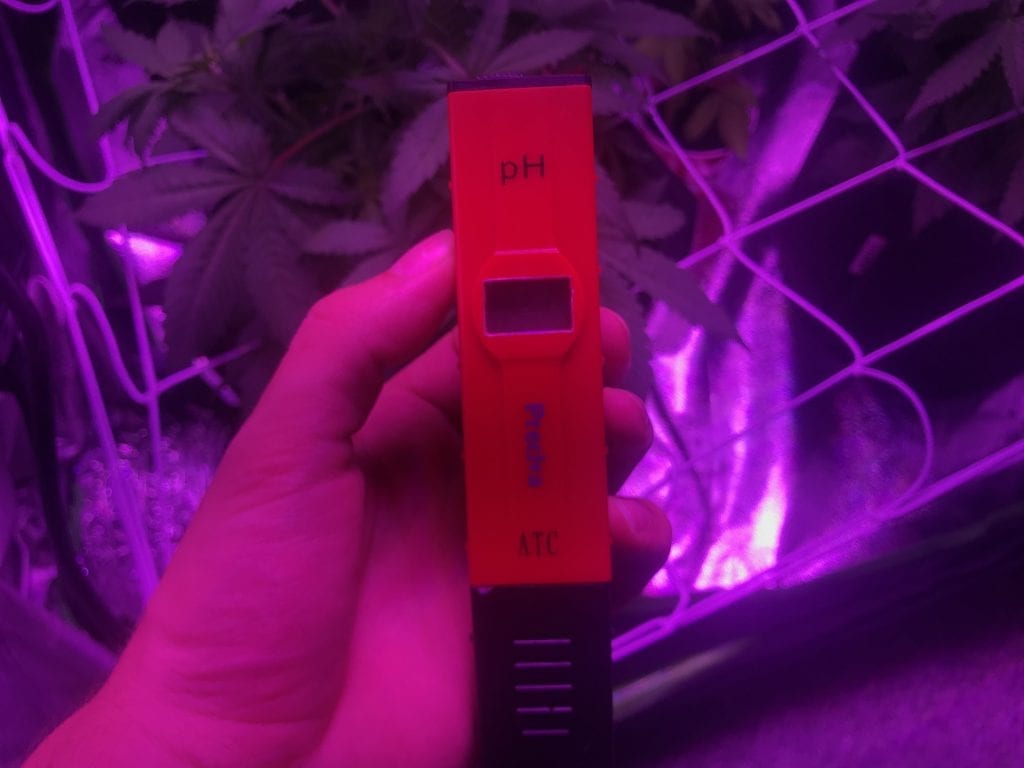 Digital pH tester for your cannabis grow setup. so you can feed your plants the right water. red shell that glows under the LED. For the best indoor cannabis plants.