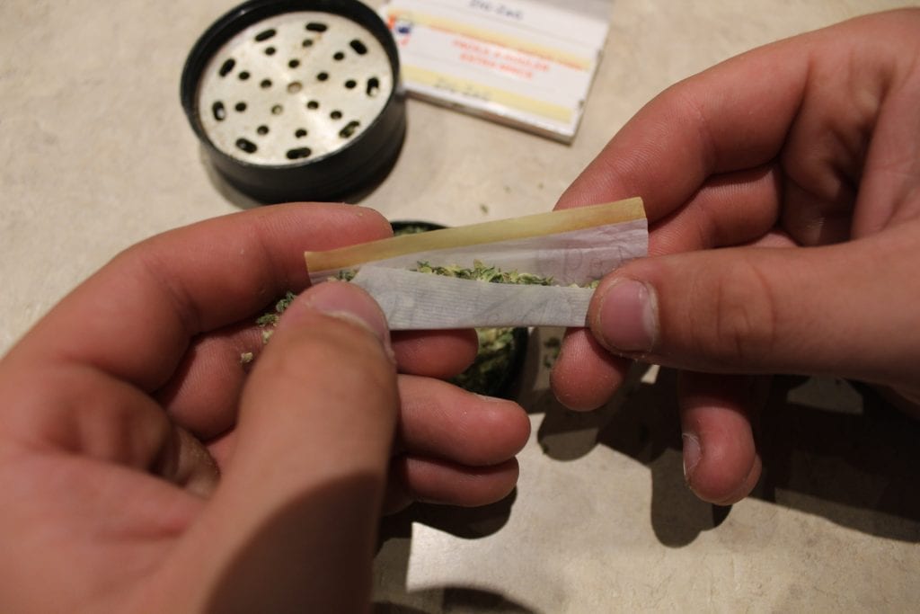 rolling paper filled with cannabis being folded into the shape of a cone with excess cannabis falling out the top.