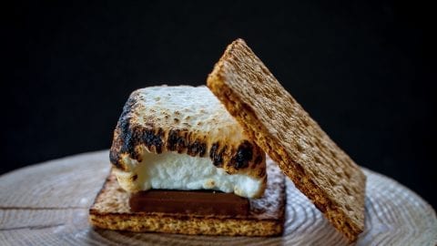 One pot smore on a log with a black background