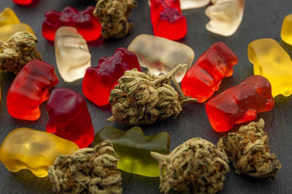 cbd gummy bears lying beside buds of cannabis. The gummy bears are clear, red, and yellow in color. They sit on a black surface. 