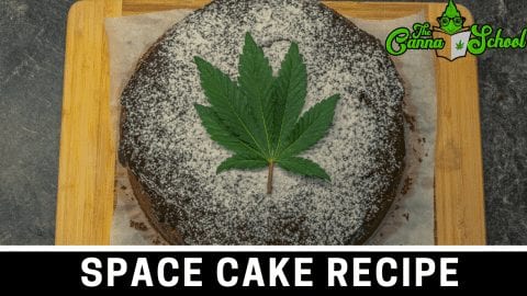 weed space cake with cannabis leave in the middle on a cutting board.