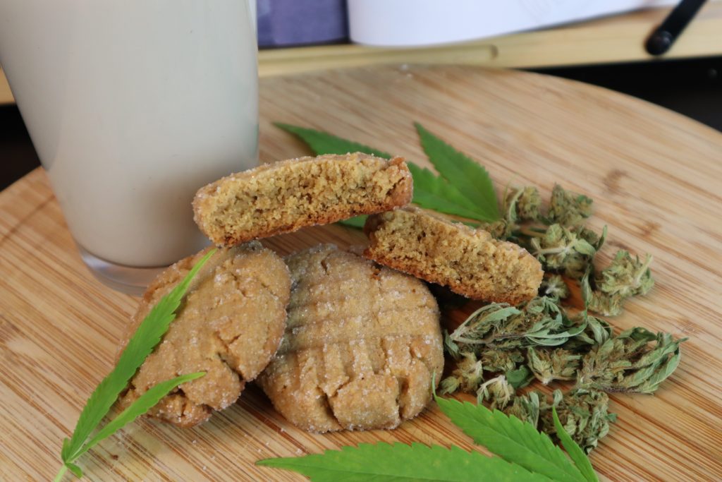 three vegan weed peanut butter cookies on a wooden cutting board with a glass of milk, cannabis nugs, and cannabis leaves beside it. 
